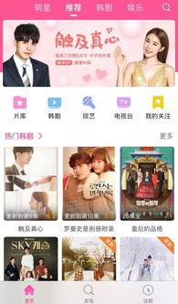 日韩没视频播放的网站,揭秘日韩地区无法访问的神秘视频网站